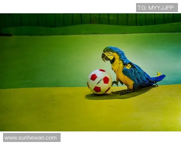 足球明星的宠物实力揭秘它们在场外的独特魅力与惊人技能