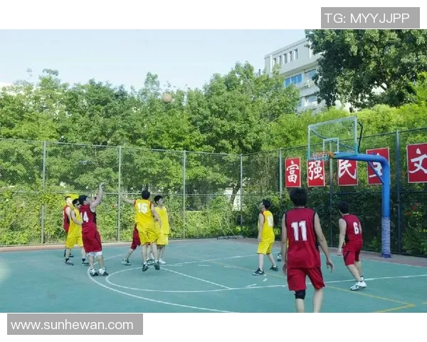 对话赵磊：回顾篮球生涯的辉煌与挑战分享